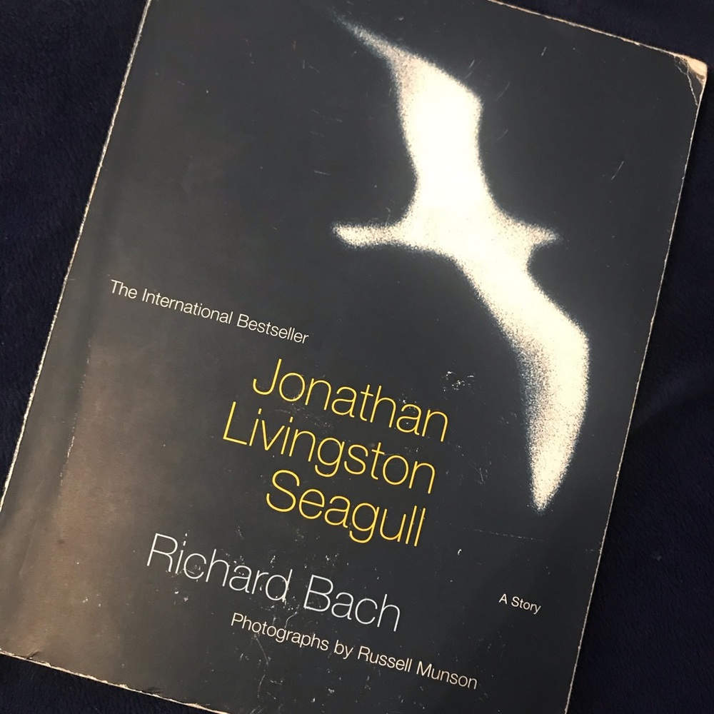 Jonathan Livingston Seagull by Richard Bach